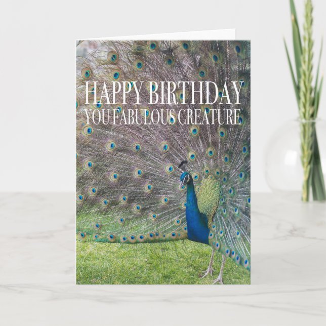 Peacock Birthday Card (Front)