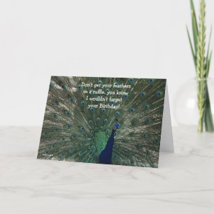 Peacock Birthday Card