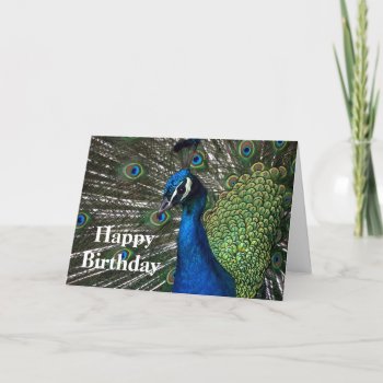 Peacock Birthday Card by KKHPhotosVarietyShop at Zazzle
