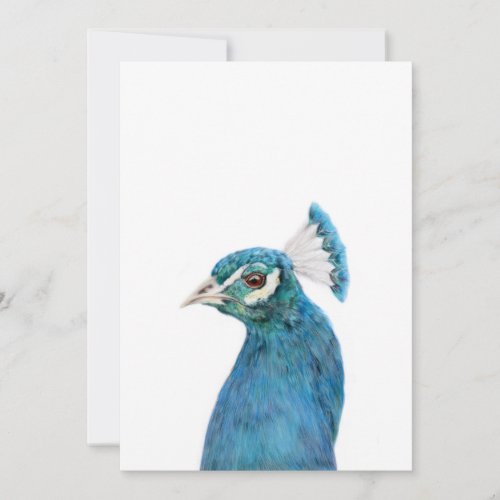 Peacock blank invitation shaped
