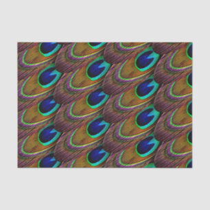 Peacock blue and purple feathers tissue paper