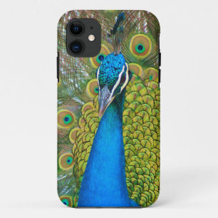 Peacock Blue Head with and Colorful Tail Feathers iPhone 11 Case