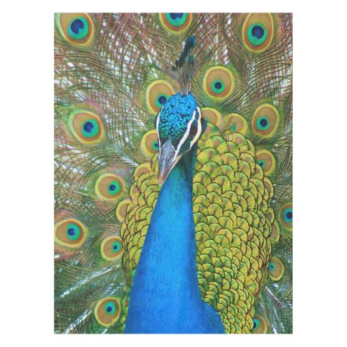 Peacock Blue Head with and Colorful Tail Feathers Tablecloth