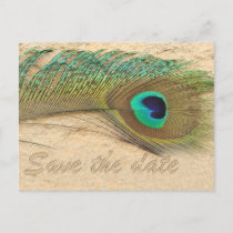 peacock blue  Save the Date Announcement Postcard