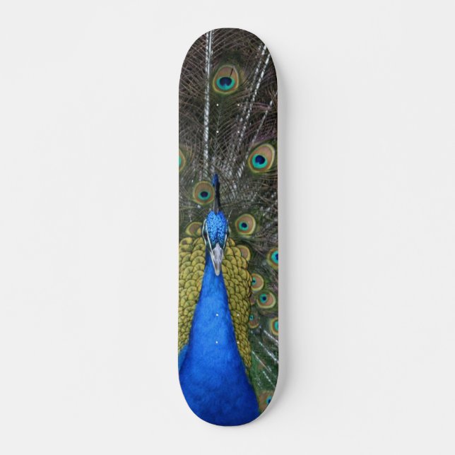 Peacock board (Front)