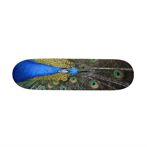 Peacock board skateboard