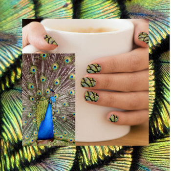 Peacock Body Feathers - Minx Nail Wraps by CatsEyeViewGifts at Zazzle