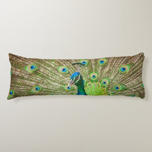 Peacock Body Pillow