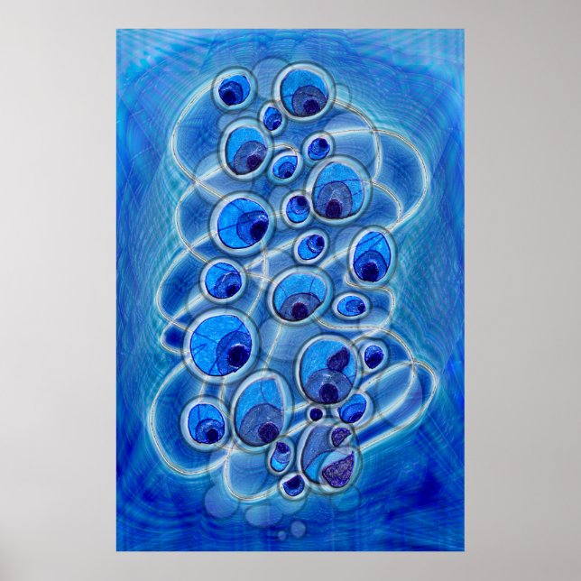 Peacock Bubbles Poster (Front)