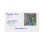 Peacock Business Card
