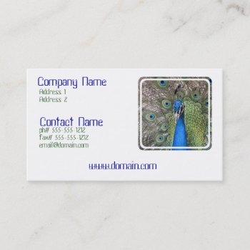 Peacock Business Card by WildlifeAnimals at Zazzle
