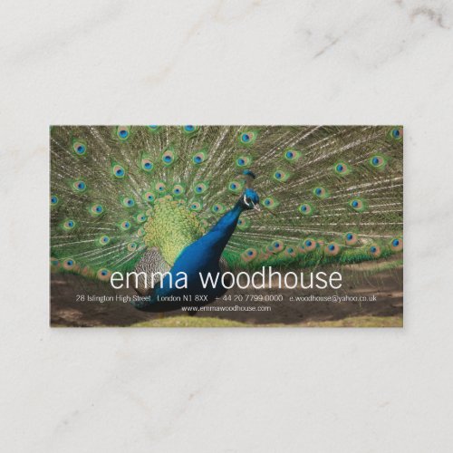 Peacock Business Cards