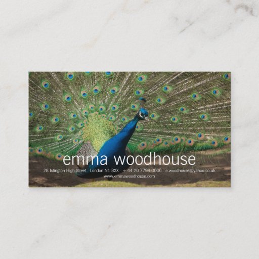 Customizable Peacock Business Cards