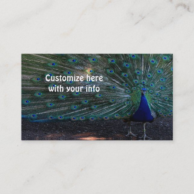 Peacock business cards (Front)