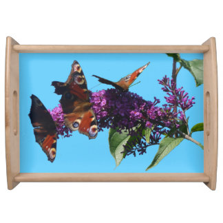 Peacock Butterflies on Buddleja Serving Tray