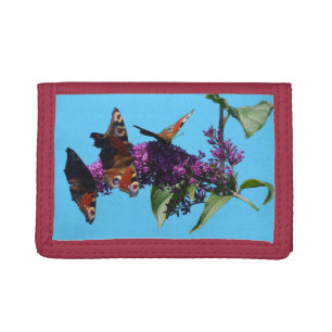 Peacock Butterflies on Buddleja Wallet