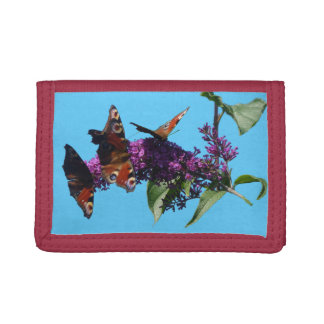Peacock Butterflies on Buddleja Wallet