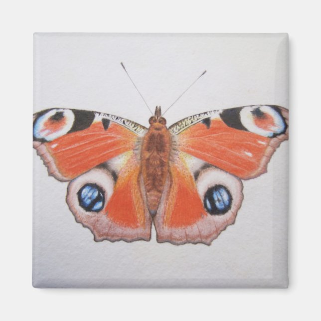 Peacock Butterfly 2012 Magnet (Front)