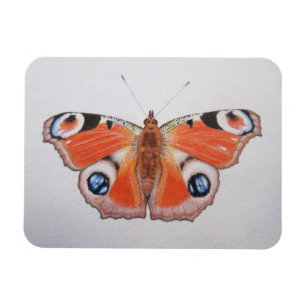 Peacock Butterfly 2012 Magnet