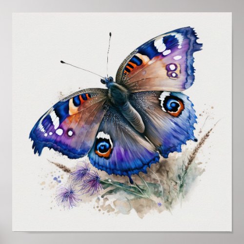 Peacock Butterfly Art Print Poster