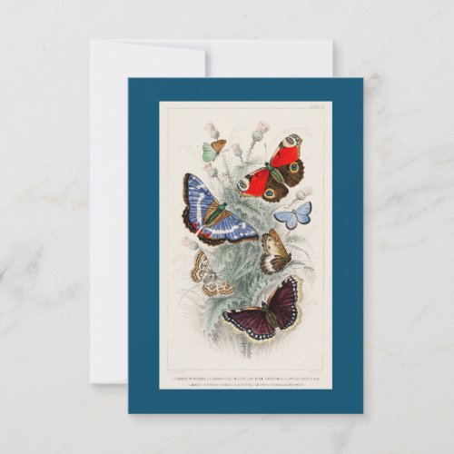 Peacock Butterfly Camberwall Beauty Purple Emper RSVP Card