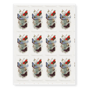 Peacock Butterfly, Camberwall Beauty, Purple Emper Temporary Tattoos