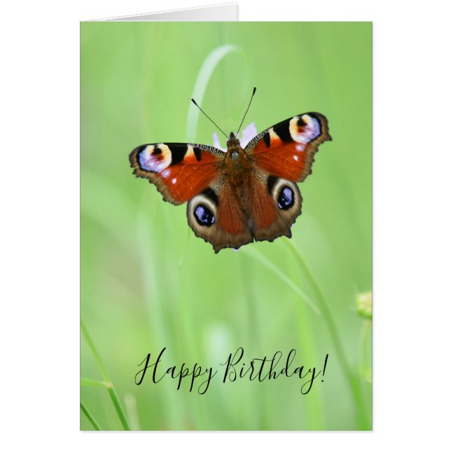 Peacock Butterfly Cards (Front)