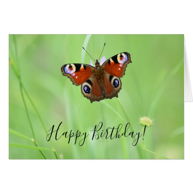Peacock Butterfly Cards (Front Horizontal)