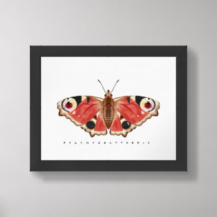 Peacock Butterfly Illustration Nature Decor