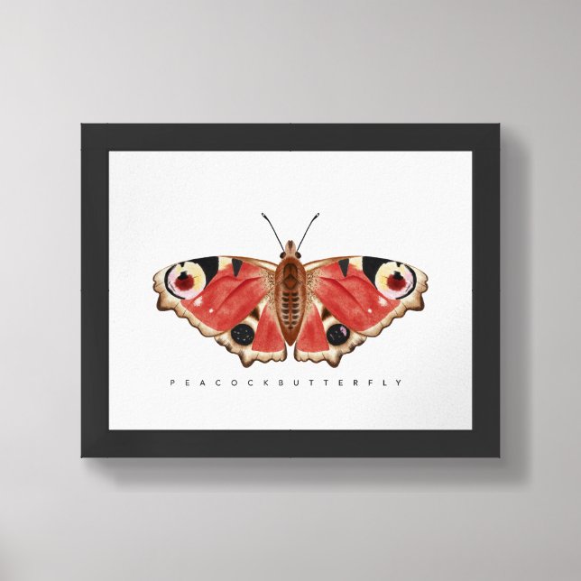 Peacock Butterfly Illustration Nature Decor (Framed Front)