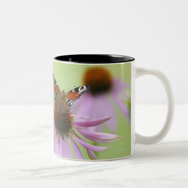 Peacock butterfly (Inachis io) drinking nectar Two-Tone Coffee Mug (Right)