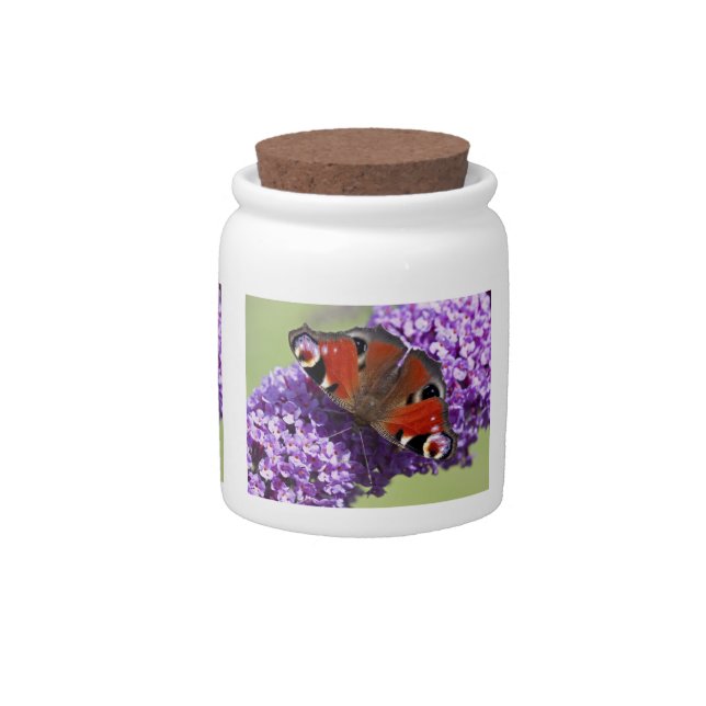 Peacock Butterfly Jar (Front)