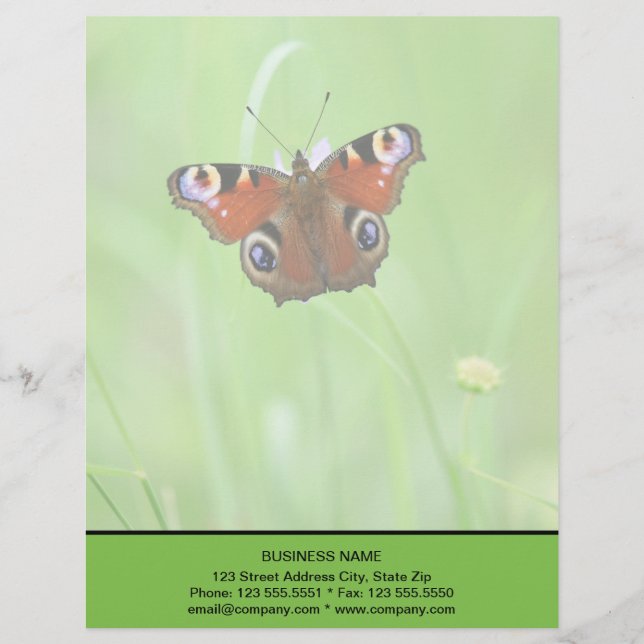Peacock Butterfly Letterhead (Front)