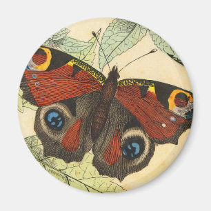 Peacock Butterfly Magnet