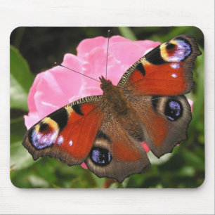 Peacock butterfly mouse pad