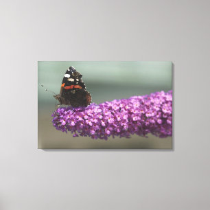 Peacock butterfly on flower canvas print