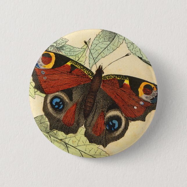 Peacock Butterfly Pinback Button (Front)