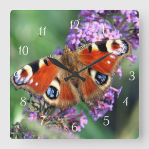 Peacock Butterfly Square Wall Clock