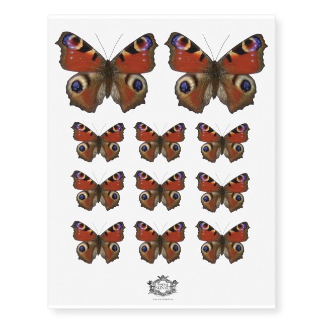 Peacock butterfly temporary tattoos (Front)