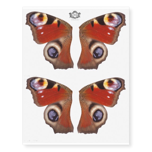 Peacock Butterfly wings Temporary Tattoos (Front)