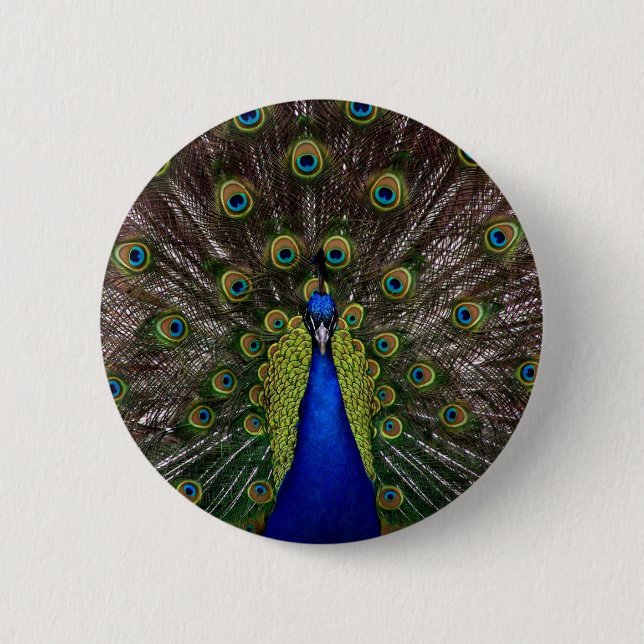 peacock button (Front)