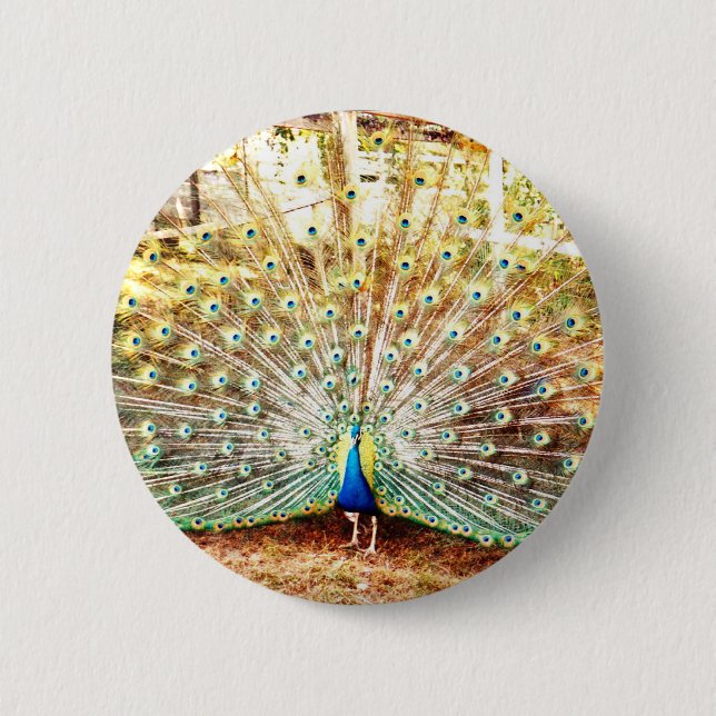Peacock Button (Front)