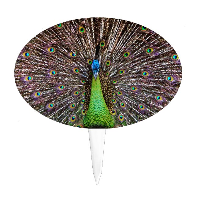 Peacock Cake Topper (Front)