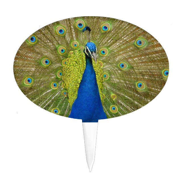 Peacock Cake Topper (Front)