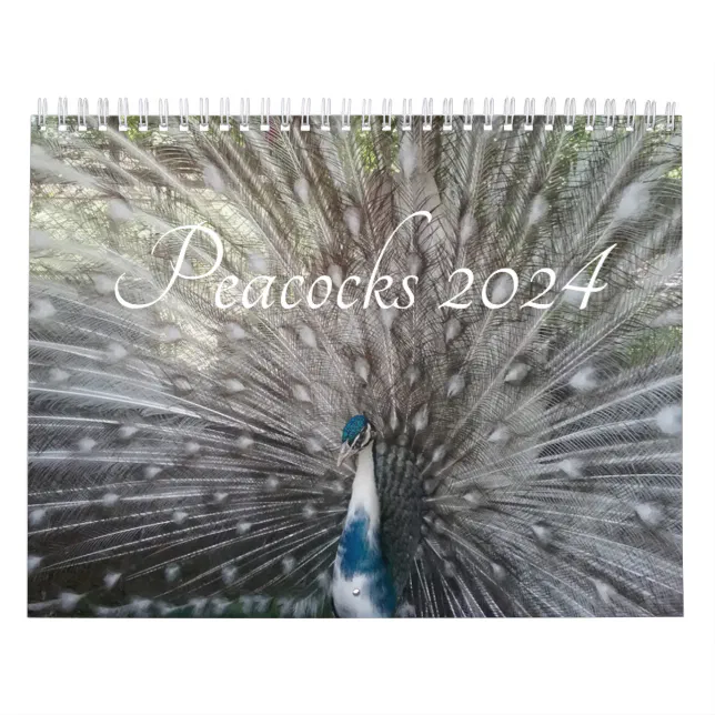 Peacock Calendar 2024 Zazzle