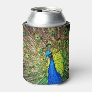 Peacock Can Cooler by GiftsGaloreStore at Zazzle