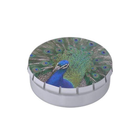 Peacock Candy Tin (Side)