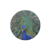 Peacock Candy Tin (Top)