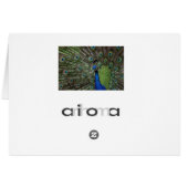 Peacock Cards (Back Horizontal)