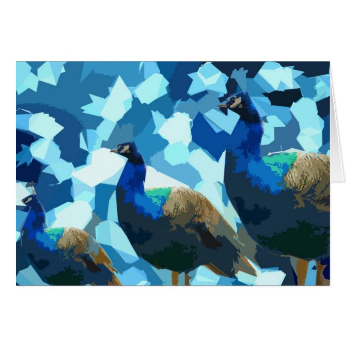 Peacock Cards